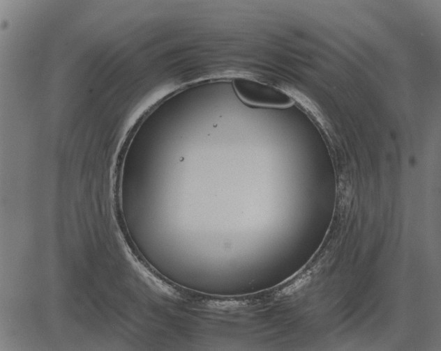 X0000082691135200702091651