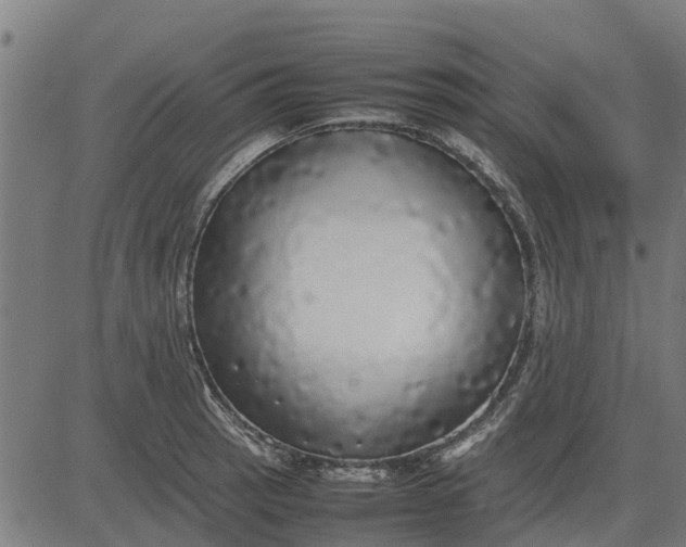 X0000082691137200702091651