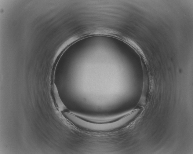 X0000082691138200702091651