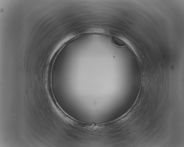 X0000082691139200702091651