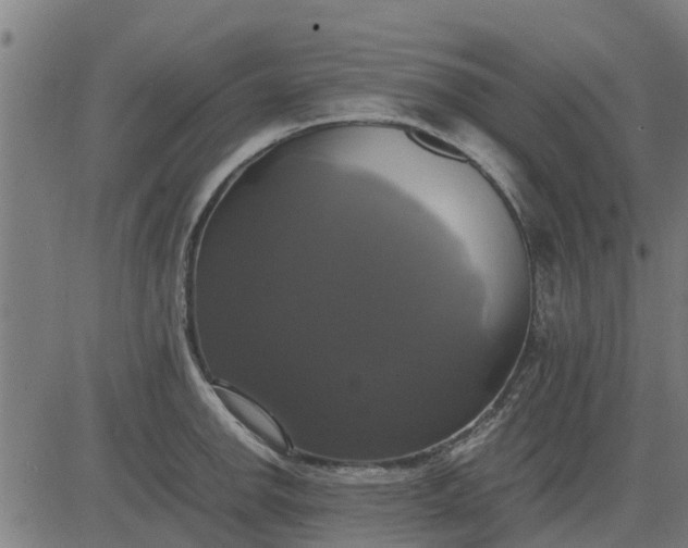 X0000082691142200702091651