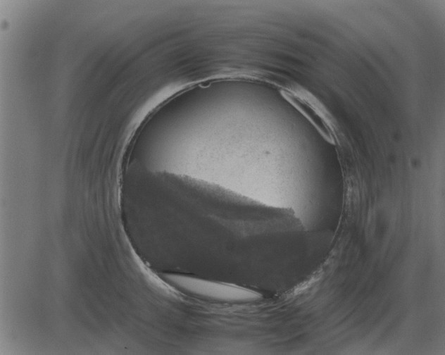 X0000082691143200702091651