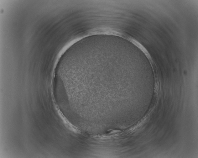 X0000082691144200702091651