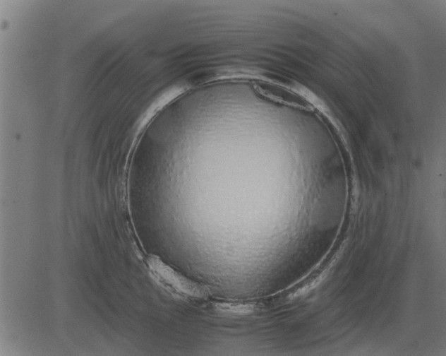 X0000082691145200702091651