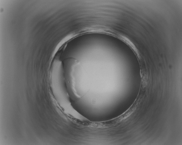 X0000082691146200702091651