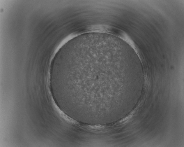 X0000082691147200702091651