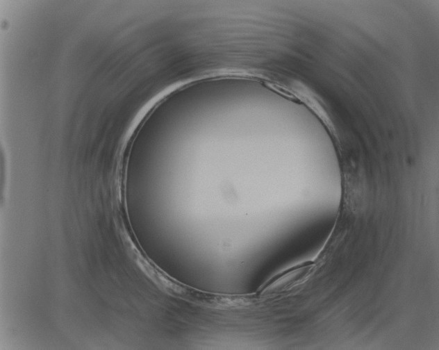 X0000082691148200702091651