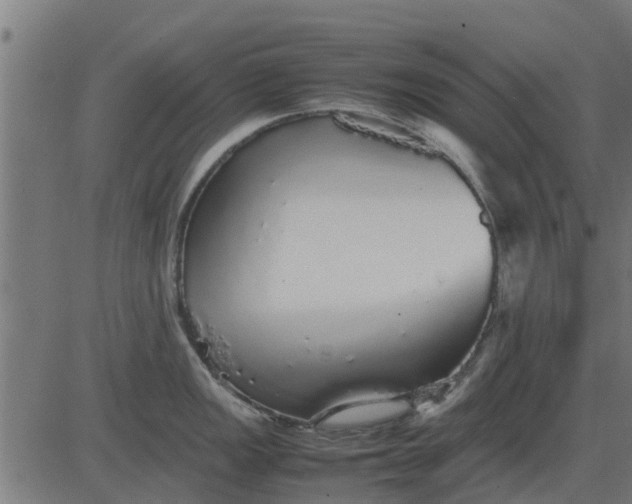 X0000082691149200702091651