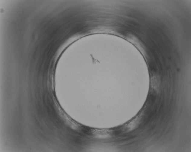 X0000082691150200702091651