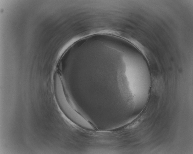 X0000082691151200702091651