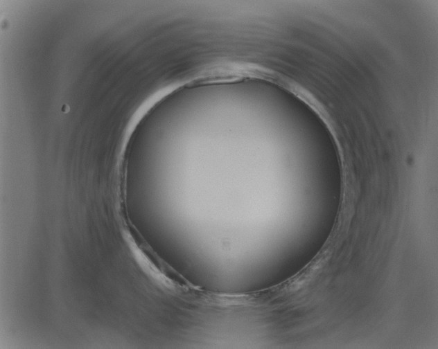 X0000082691152200702091651