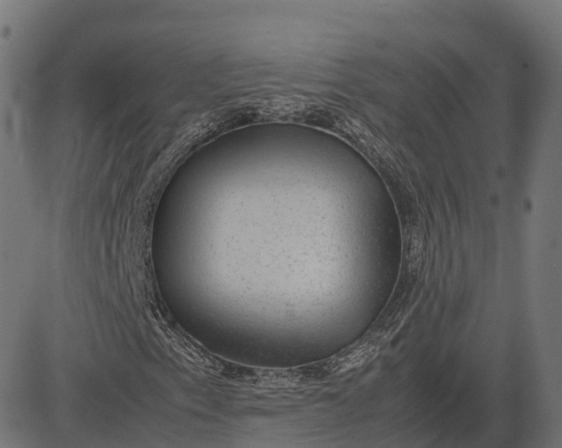 X0000082691153200702091650