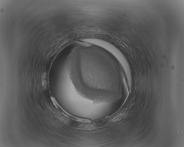 X0000082691156200702091650