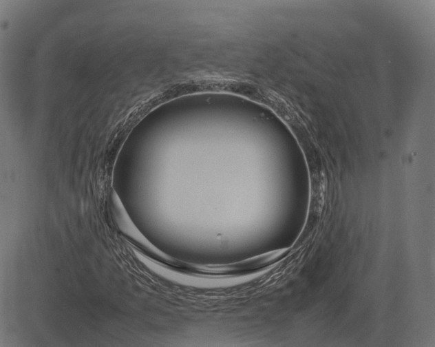 X0000082691157200702091650