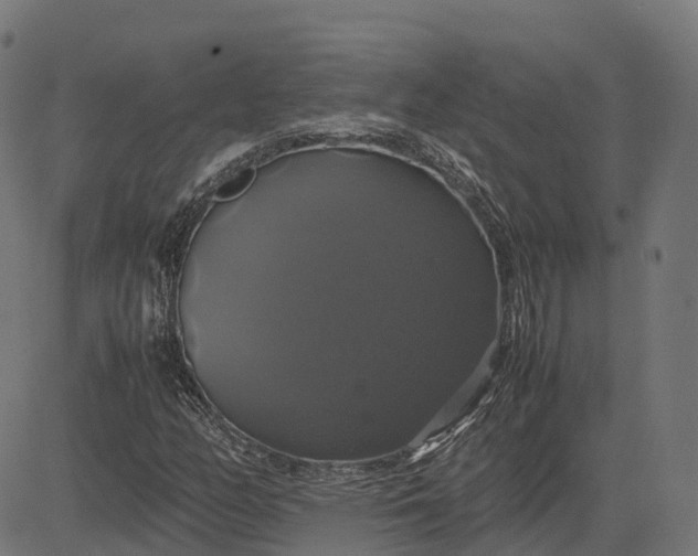 X0000082691158200702091650