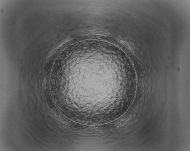 X0000082691159200702091650