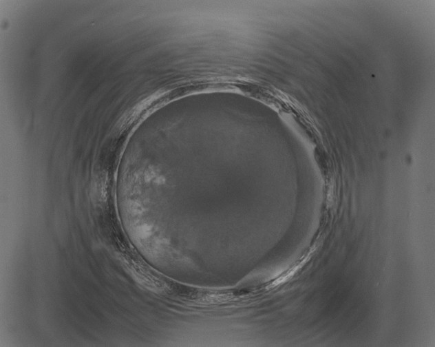 X0000082691161200702091650