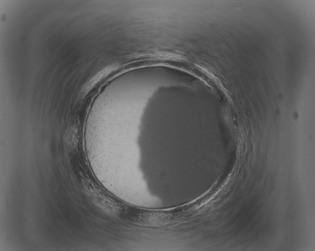 X0000082691163200702091650