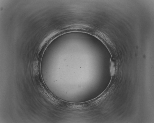 X0000082691164200702091650