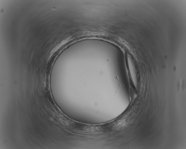 X0000082691165200702091650