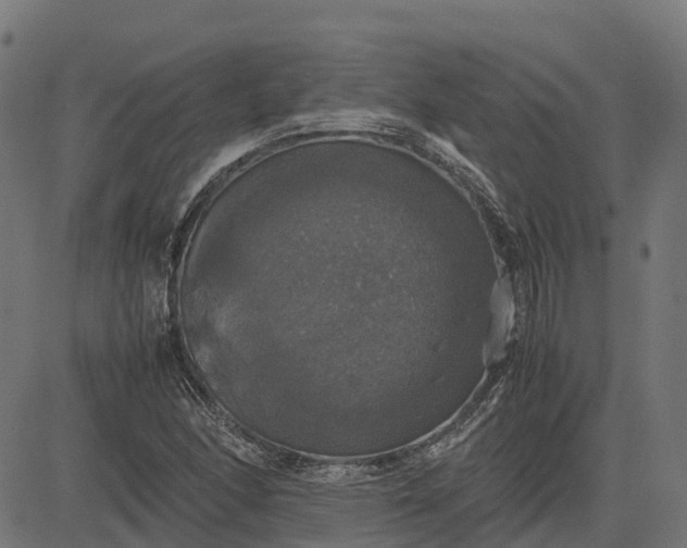 X0000082691166200702091650