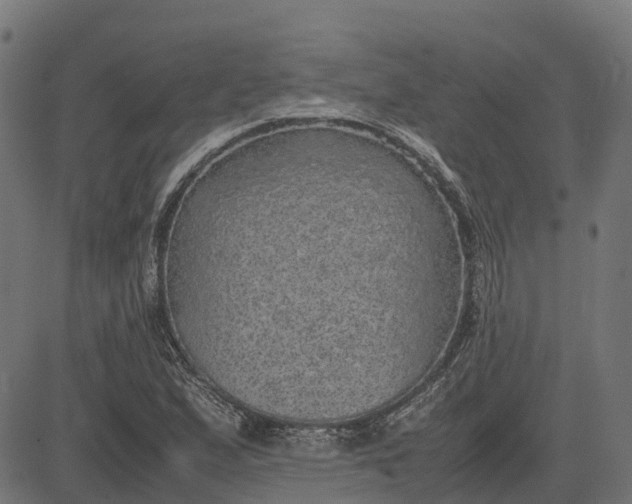 X0000082691167200702091650