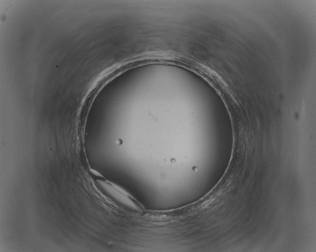 X0000082691168200702091650