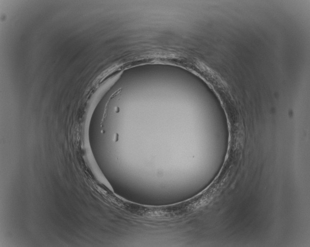 X0000082691169200702091650