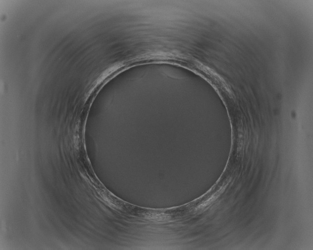 X0000082691170200702091650