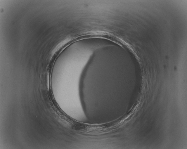 X0000082691171200702091650