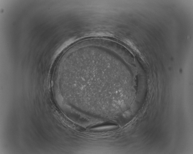 X0000082691173200702091650