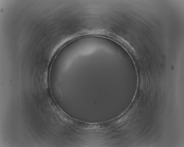 X0000082691174200702091650