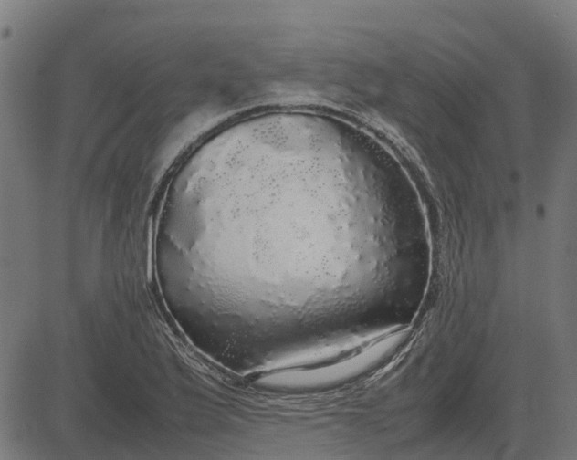 X0000082691175200702091650