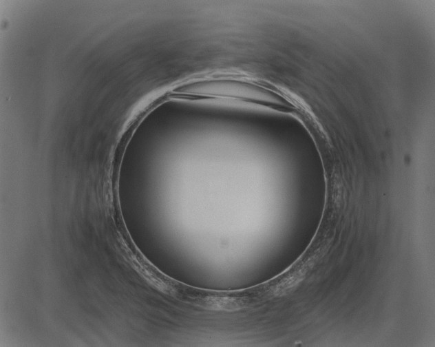 X0000082691176200702091650