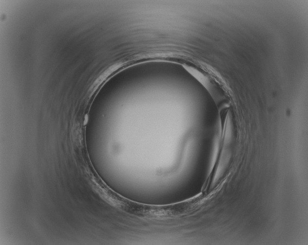 X0000082691177200702091650