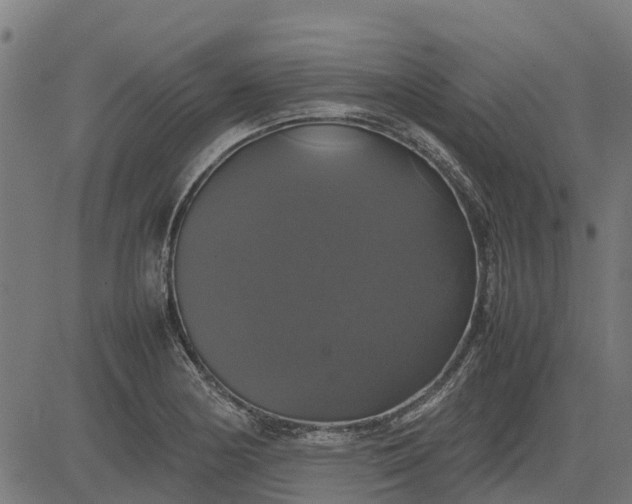 X0000082691178200702091650