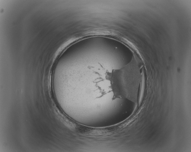 X0000082691179200702091650