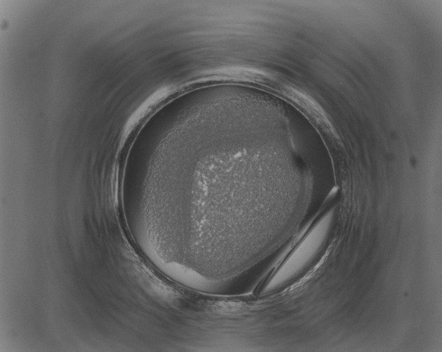 X0000082691180200702091650