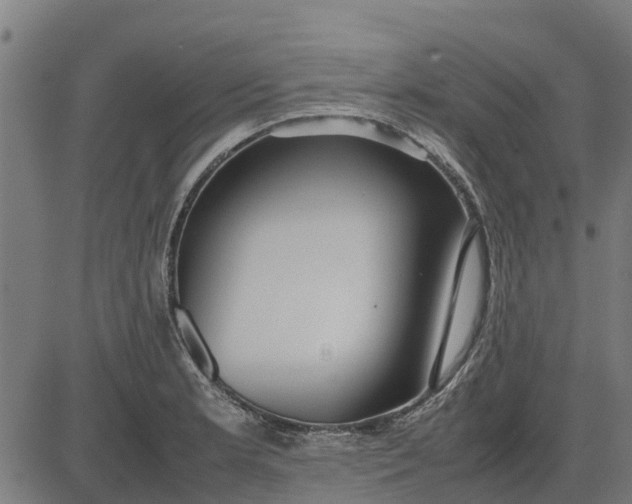 X0000082691181200702091650