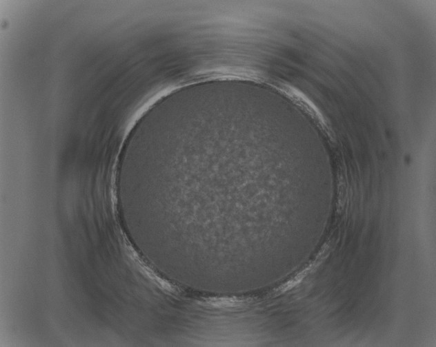 X0000082691182200702091650