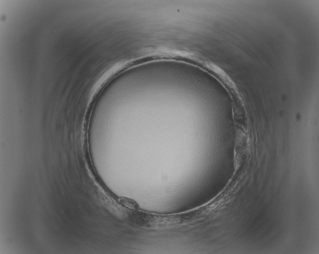 X0000082691183200702091650