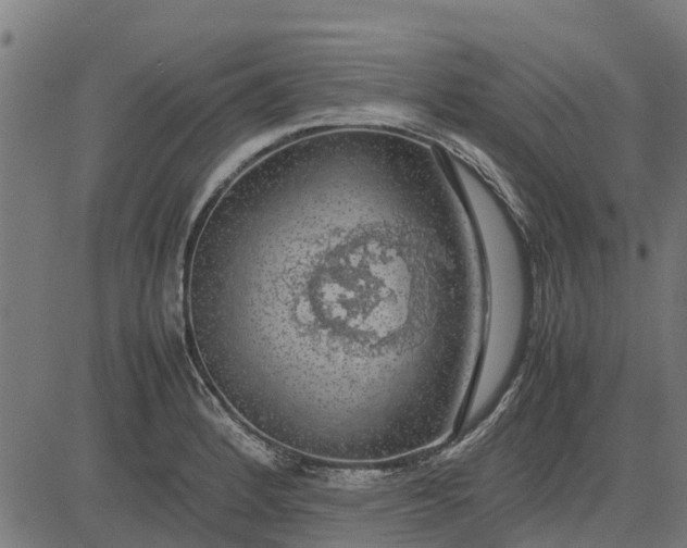 X0000082691184200702091650