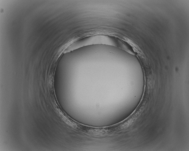 X0000082691185200702091650