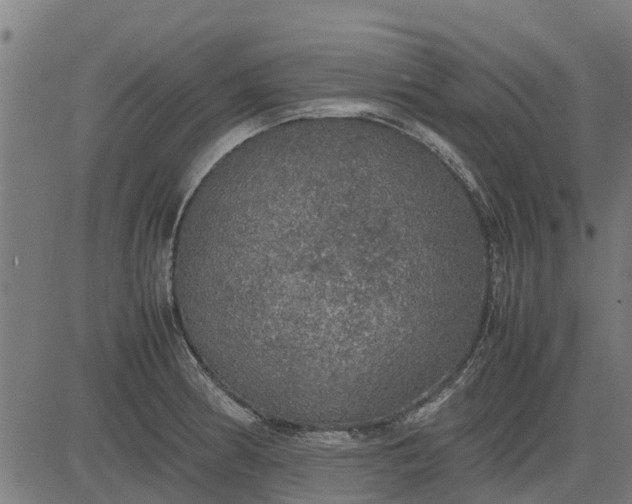 X0000082691186200702091650