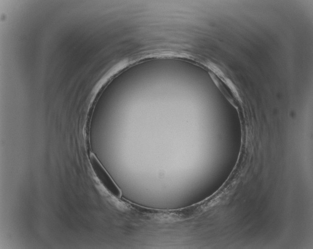 X0000082691189200702091649