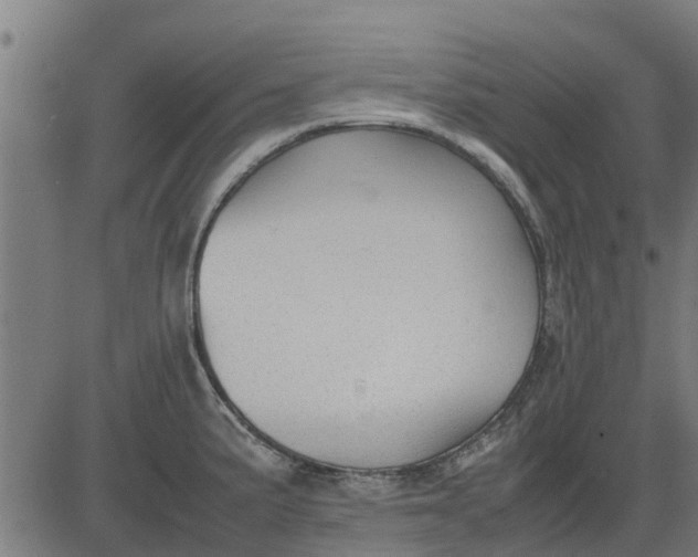 X0000082691191200702091649