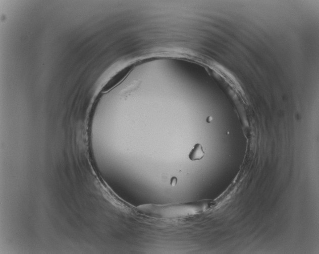 X0000082691192200702091649