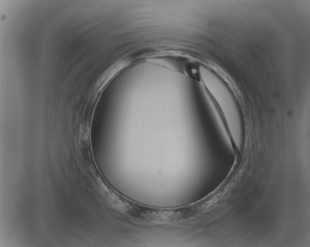 X0000082691193200702091649