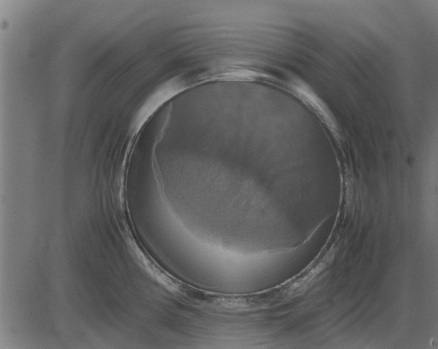 X0000082691194200702091649