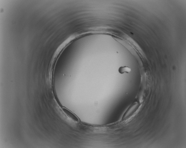 X0000082691196200702091649